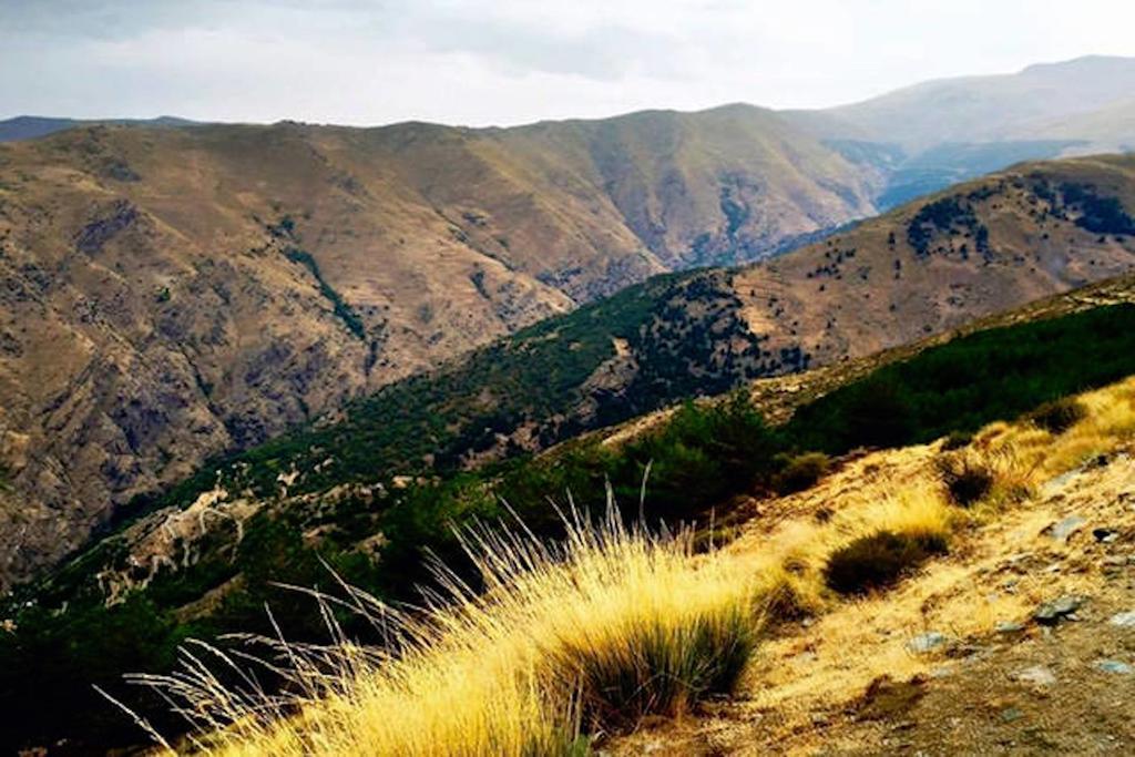 Telecabina Las Catifas Guejar Sierra Exteriör bild